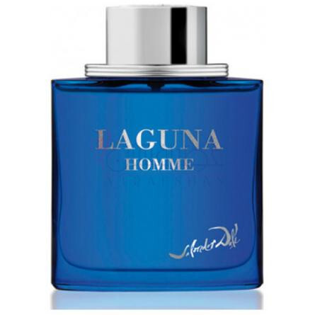 Laguna Homme-سالوادور دالی لاگونا هوم