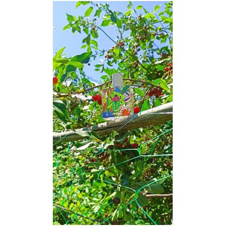 Nature Insolente-میسون ماتین نیچر اینسولنت