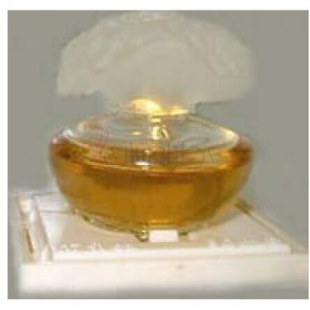 Orange Sahara-پوپا اورنج ساهارا