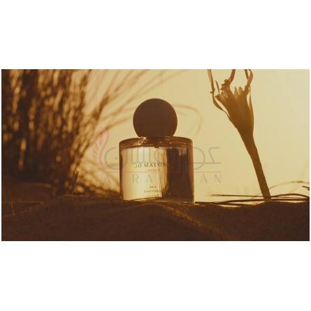 Sea Daffodil-جو مالون سی دافودیل