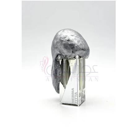 Nebbia Fitta Extrait de Parfum-فیلیپو سورچینلی نبیا فیتا اکستریت د پرفیوم