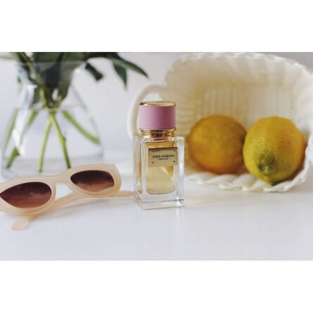 Velvet Love-دولچه گابانا ولوت لاو