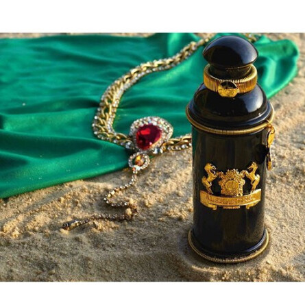 Black Muscs-الکساندر جی بلک ماسکس