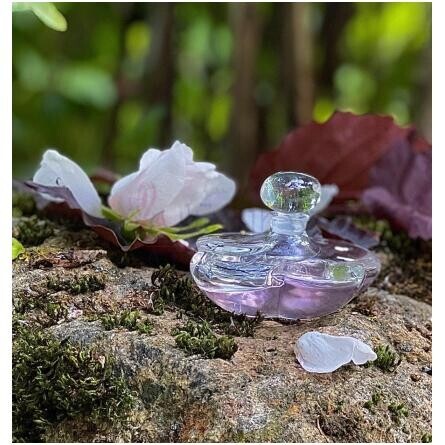 Camelia Superieur-شیسیدو کاملیا سوپریور