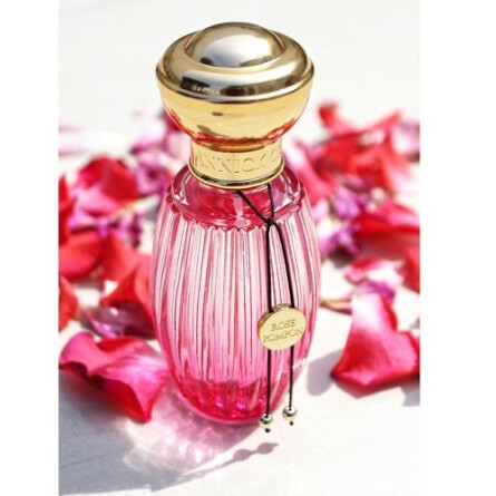 Rose Pompon-آنیک گوتال رز پومپان