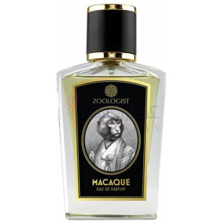 Macaque-زولوجیست مکاک