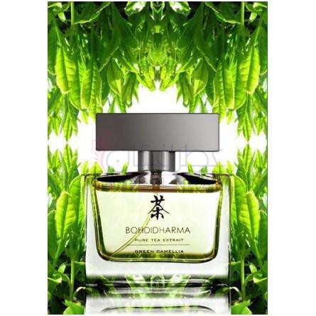 Green Camellia-بوهدیدارما گرین کاملیا