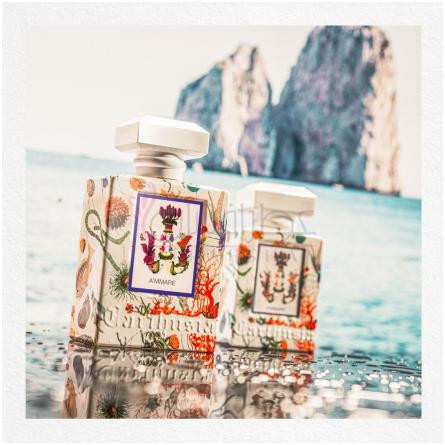 A'mmare-کارتوزیا اماره