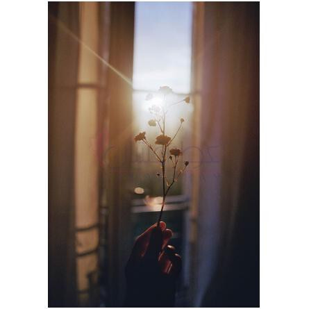 Lost Lovers-میسون دی لاسی لاست لاورز