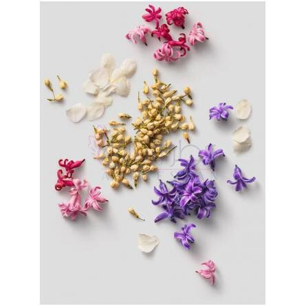 I Am Radiant-سنت اورگانیکس ای ام رادیانت