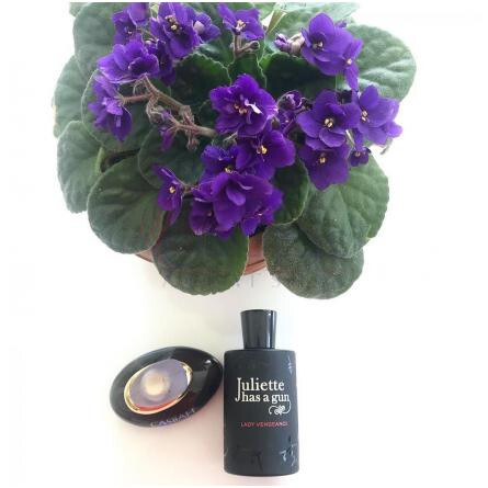 Casbah-اوان کسبح