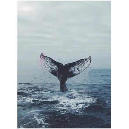 Ambre et Bois-انصار عود امبر ات بوا