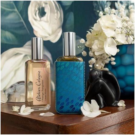 Orange Sanguine Love Birds Collector-آتلیه کلن اورنج سنگوئین لاو بردز کالکتور