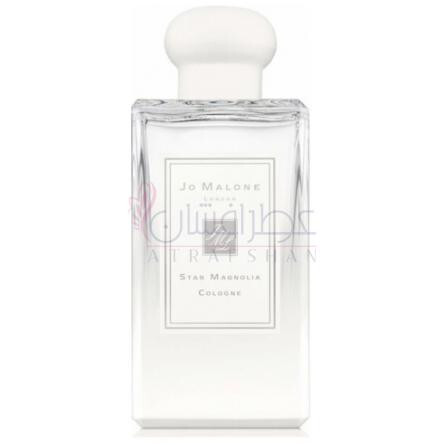 Star Magnolia-جو مالون استار مگنولیا