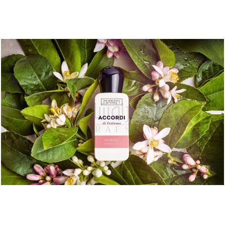 Neroli Marocco-د مرچنت اف ونیز نرولی ماروکو