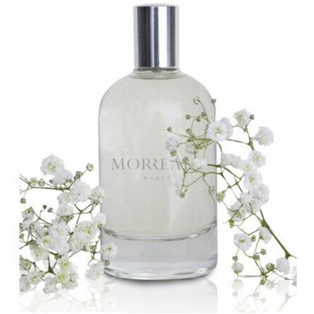 Morreale Parfum For Men-مورئال پاریس مورئال پارفوم مردانه