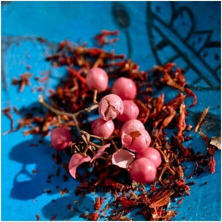 Nomade Lumiere d'Egypte-کلوهه نومید لومیر د اجیپت