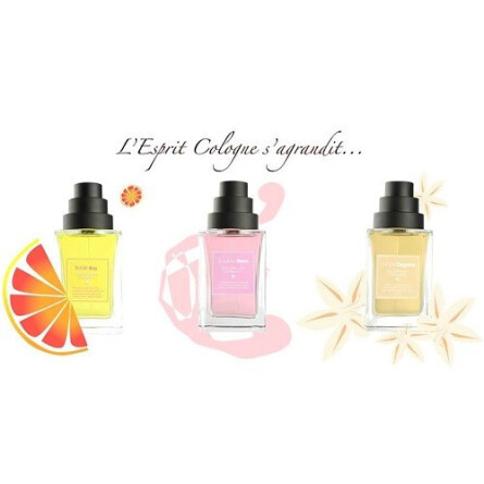 White Zagora-دیفرنت کمپانی وایت زاگورا