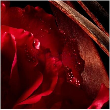 Rouge Bonheur-گرلن رژ بونهر