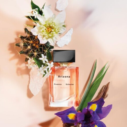 Arizona Proenza Schouler-آریزونا پروینزا شولر