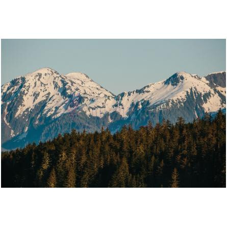 Miglot Pure Cedarwood Edition 1-میگلات میگلات پیور سداروود ادیشن 1