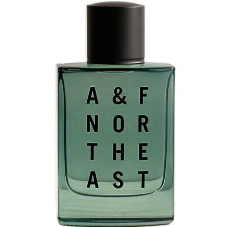 A & F Northeast-آبرکرامبی اند فیچ ای اند اف نورس ایست