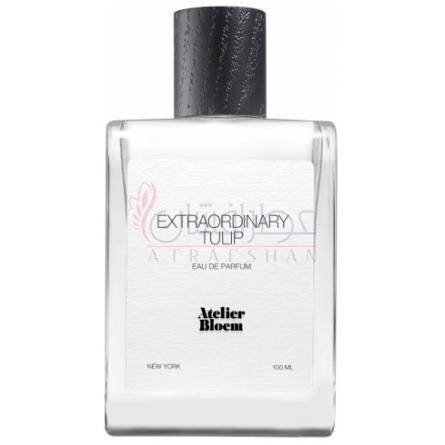 Extraordinary Tulip-اتلیه بلوم اکسترادینری تولیپ