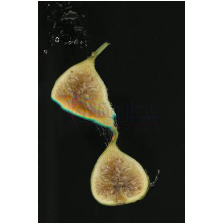 Unusual Fruit-زارا انیوژوال فروت