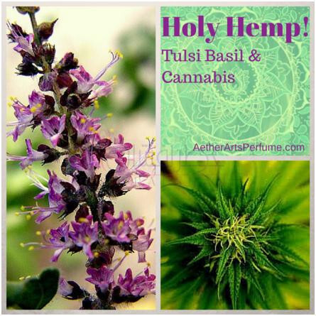 Holy Hemp-ایتر ارتس پرفیوم هالی همپ
