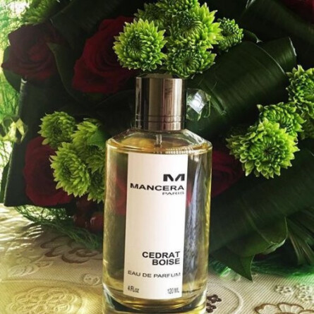 Cedrat Boise-مانسرا سدرات بویسه (سدرات بویز)