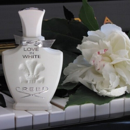 Creed love in discount white