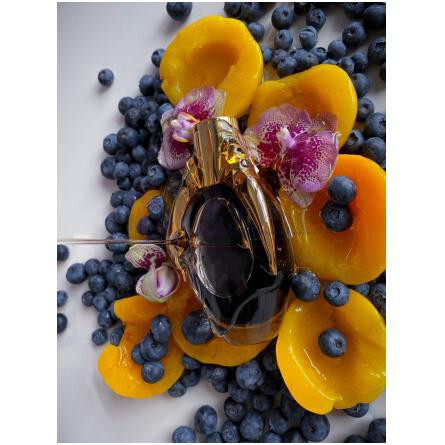 Fame-لیدی گاگا فیم