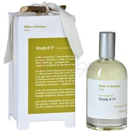 Study No. 17-میلر اِ بِرتو استادی نو 17