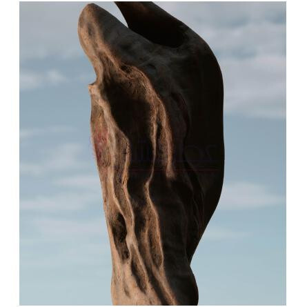 Oud Storm-باربری عود استورم