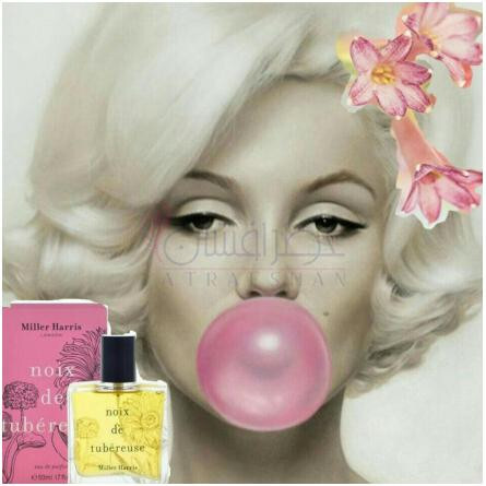 Noix de Tubereuse-میلر هریس نوی دی توبرز