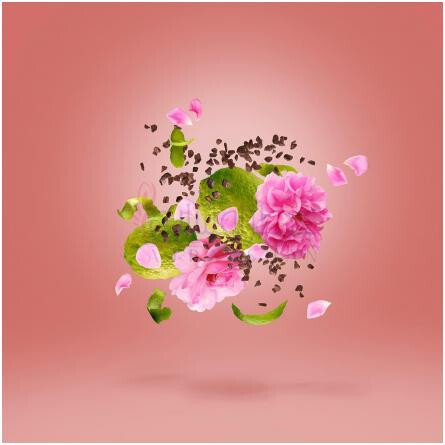 Amphorae 48-زرجوف امفورای 48