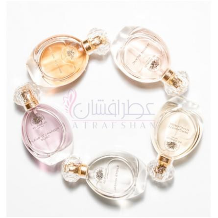 Jasmin Etoilé-اد پینو جاسمین ایتویل