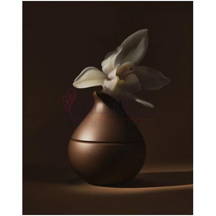 Caramel Orchid-کی کی دبلیو فرگرنس کارامال ارکید