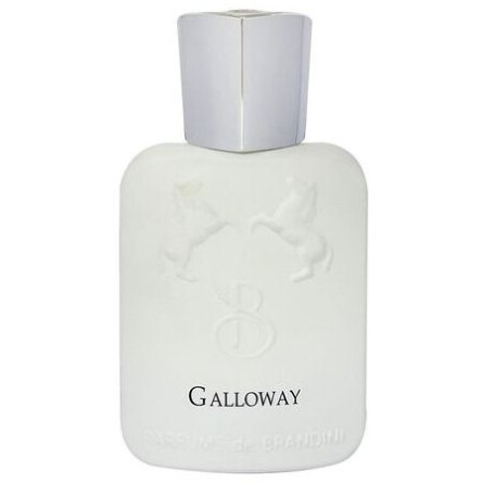 Galloway Eau De Parfum BRANDINI-گالووی برندینی