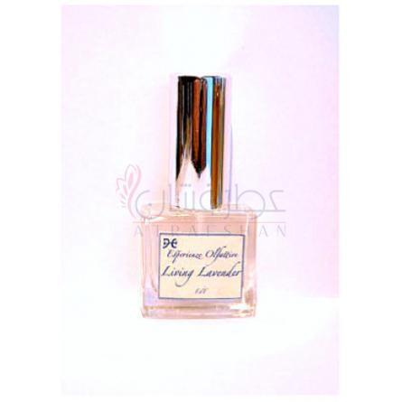 Living Lavender-اسپرینزه الفکتیو لیوینگ لوندر