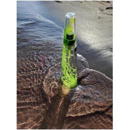 L'Eau d'Issey Summer 2007 Femme-ایسی میاکه لئو د ایسی سامر 2007 فمه