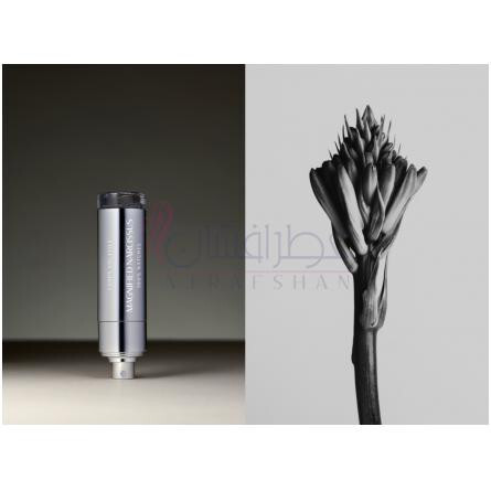 Magnified Narcissus-کورپ وولاتیل مگنیفید نارسیسوس