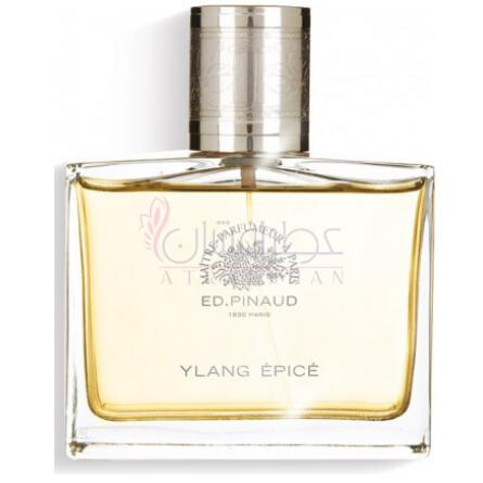Ylang Épice-اد پینو یلانگ اپیک