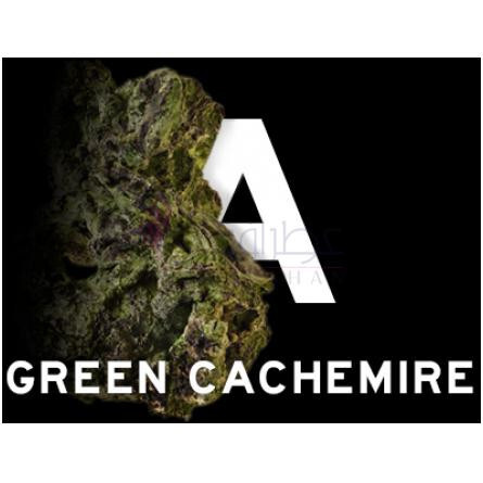 A Green Cachemire-بلود کانسپت ا گرین کشمایر