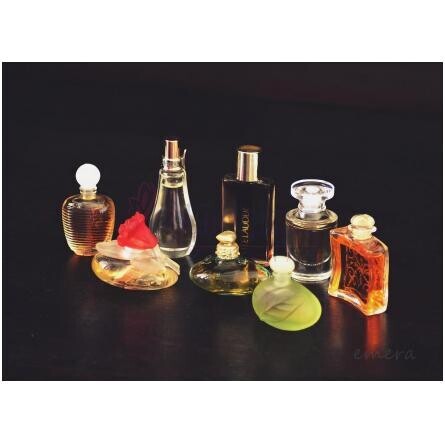 Fiorilu En Fleur-پوپا فیوریلو ان فلور