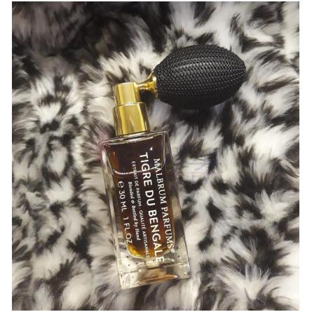 Tigre Du Bengale-مالبروم پارفومز تایگر دو بنگال