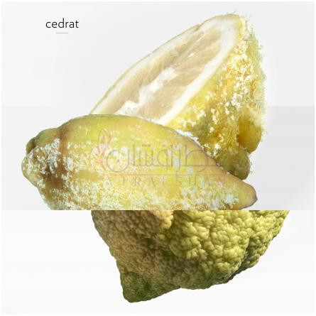 Terre d'Hermes Eau Givree-هرمس تق د هرمس او گیوری
