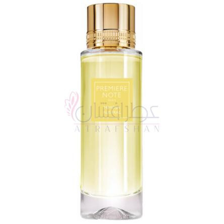 Mimosa Austral-پریمیر نت میموسا استرال