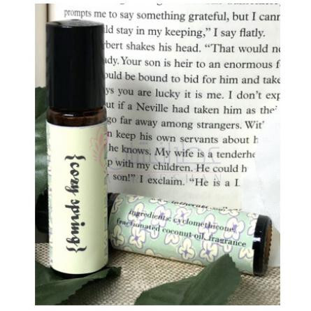 Cozy Spring-لاتراتی کوزی اسپرینگ