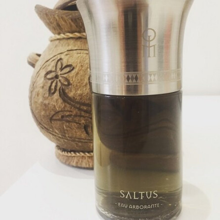 Saltus-له لیکویید ایمجینر سالتس
